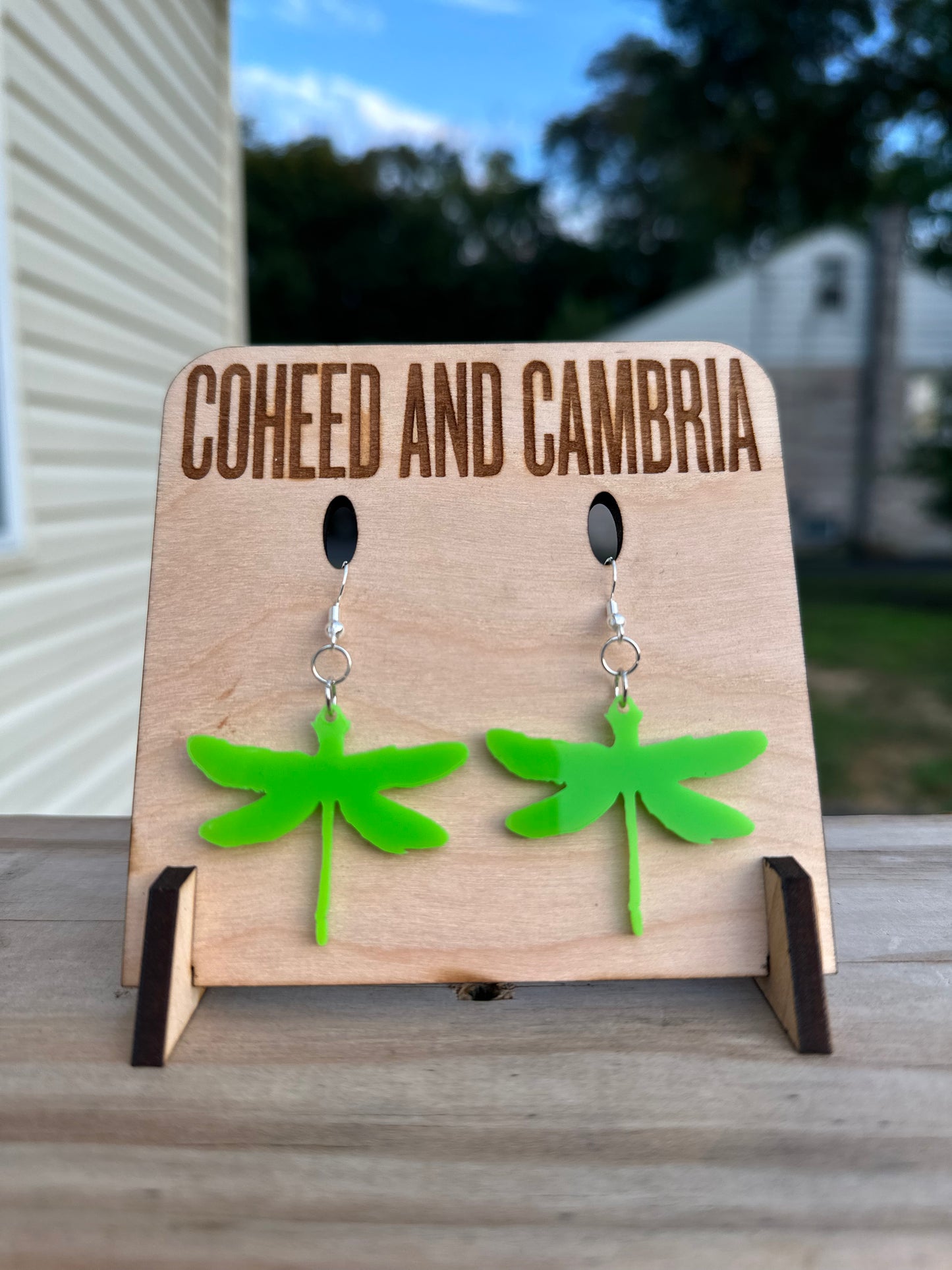 Dragonfly Earrings